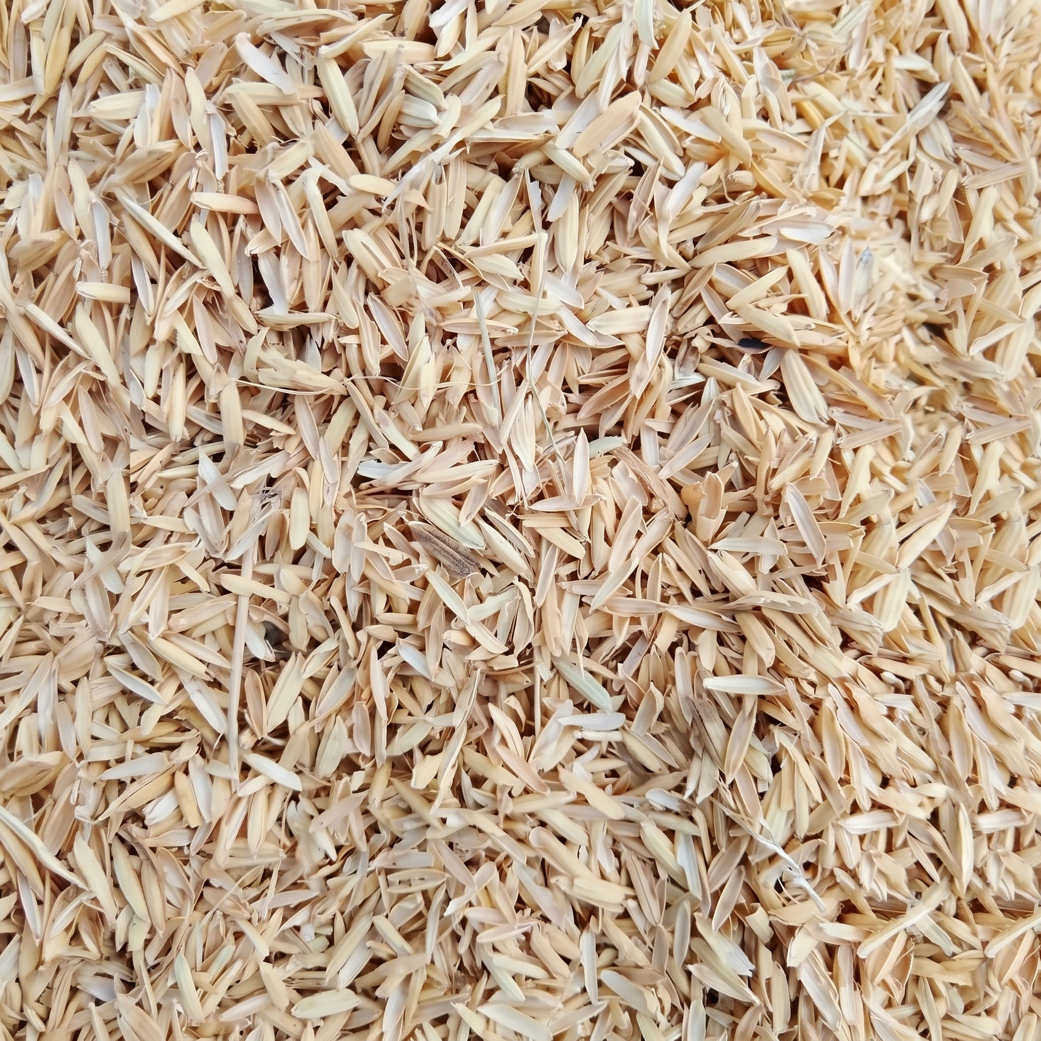 Organic Horticultural Grade Rice Hulls – Clean Soil Aeration Additive & Natural Chicken Bedding for Houseplants, Garden & Coop