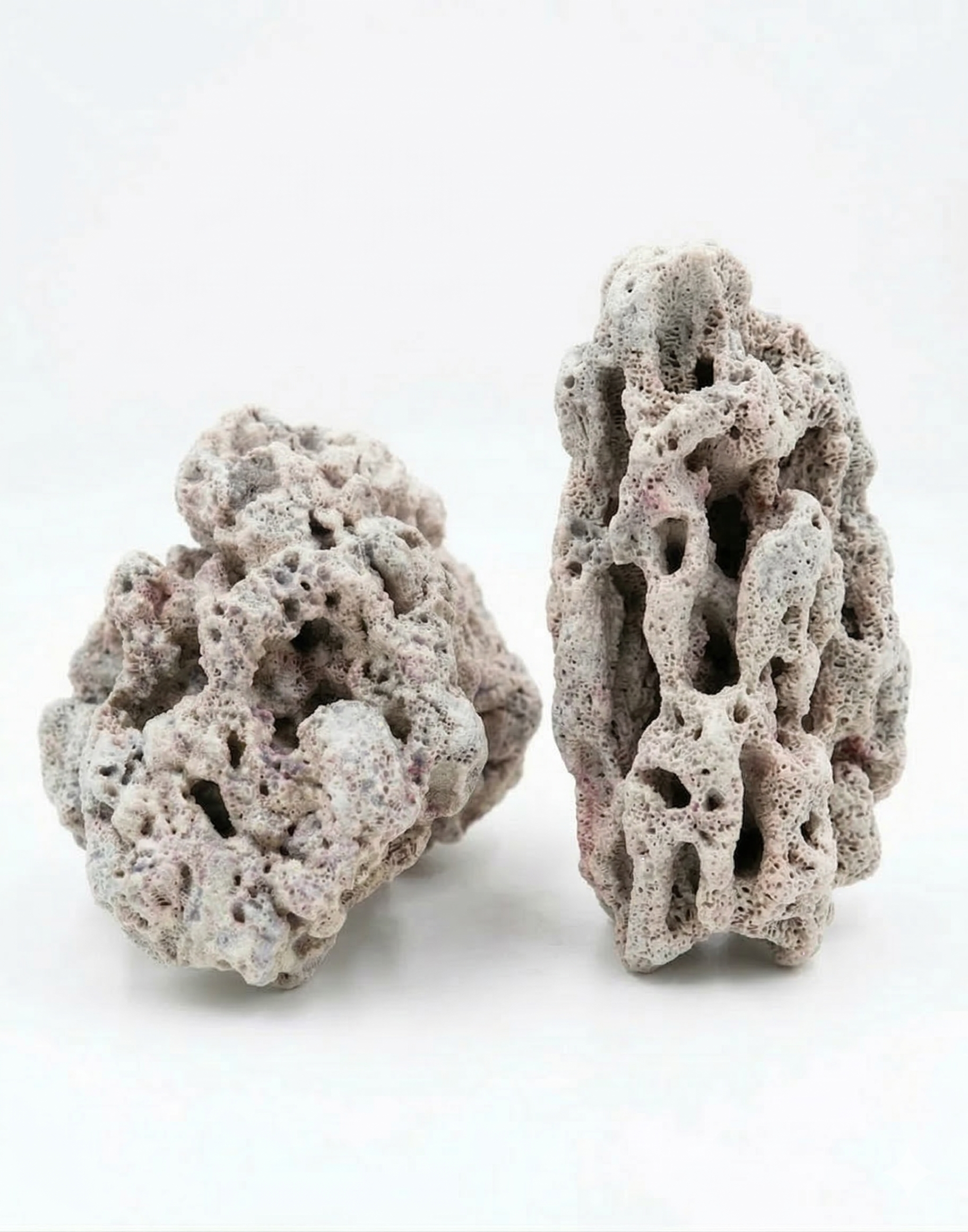 Natural Coral Stone Chunks 2pcs 5 lbs/2kg for Aquarium Decoration - Porous Reef Rock for Fish Tank Layout, Saltwater & Freshwater - Ideal for Aquariums, Terrariums, Vivariums, and Paludariums