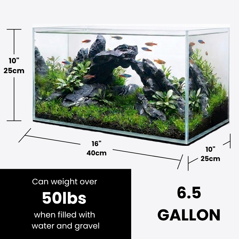 Glass Aquarium 6.5 Gallon - Rectangular Desktop Fish Tank - 5mm Thick High-Clarity Glass with Protective Bottom Mat - Ideal for Betta, Shrimp, and Small Tropical Fish