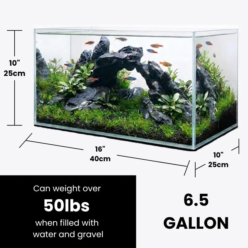 Fish Tank Rectangular Glass Aquarium 6.5 Gallon - Rectangular Desktop Fish Tank - 5mm Thick ...
