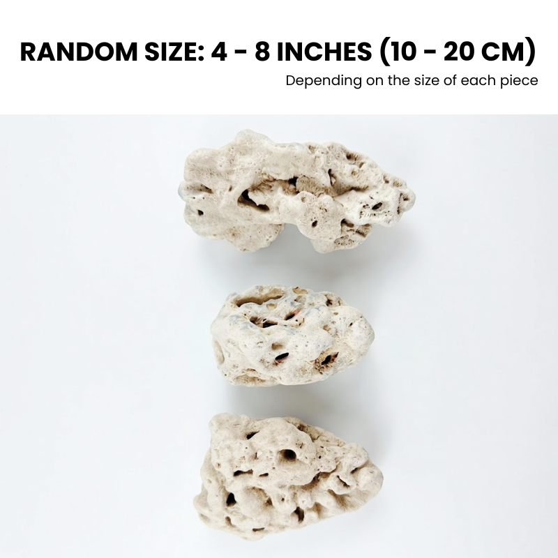 Natural Coral Stone Chunks 2pcs 5 lbs/2kg for Aquarium Decoration - Porous Reef Rock for Fish Tank Layout, Saltwater & Freshwater - Ideal for Aquariums, Terrariums, Vivariums, and Paludariums