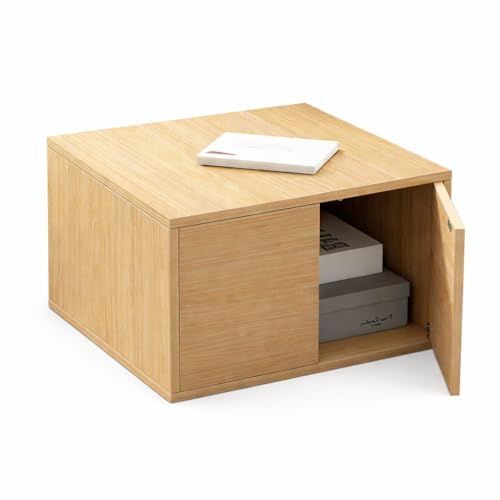 Wooden Storage Cabinet with Door, Small Storage Chest for Bedroom and Living Room, Cube Side Table with Hidden Storage, Space Saving Organizer