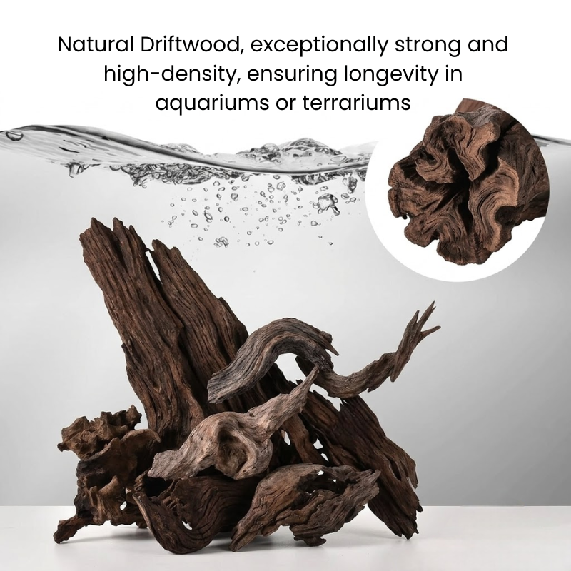 Natural Textured Sinking Driftwood 2.2 lbs/1kg - Premium Wood for Fish Tank Aquascaping, Aquariums, and Paludariums - Decorative Wood for Terrariums, Vivariums, Reptile Enclosures, and Gardens, 4in to 12in