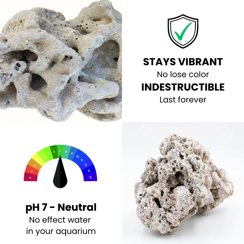 Natural Coral Stone Chunks 2pcs 5 lbs/2kg for Aquarium Decoration - Porous Reef Rock for Fish Tank Layout, Saltwater & Freshwater - Ideal for Aquariums, Terrariums, Vivariums, and Paludariums