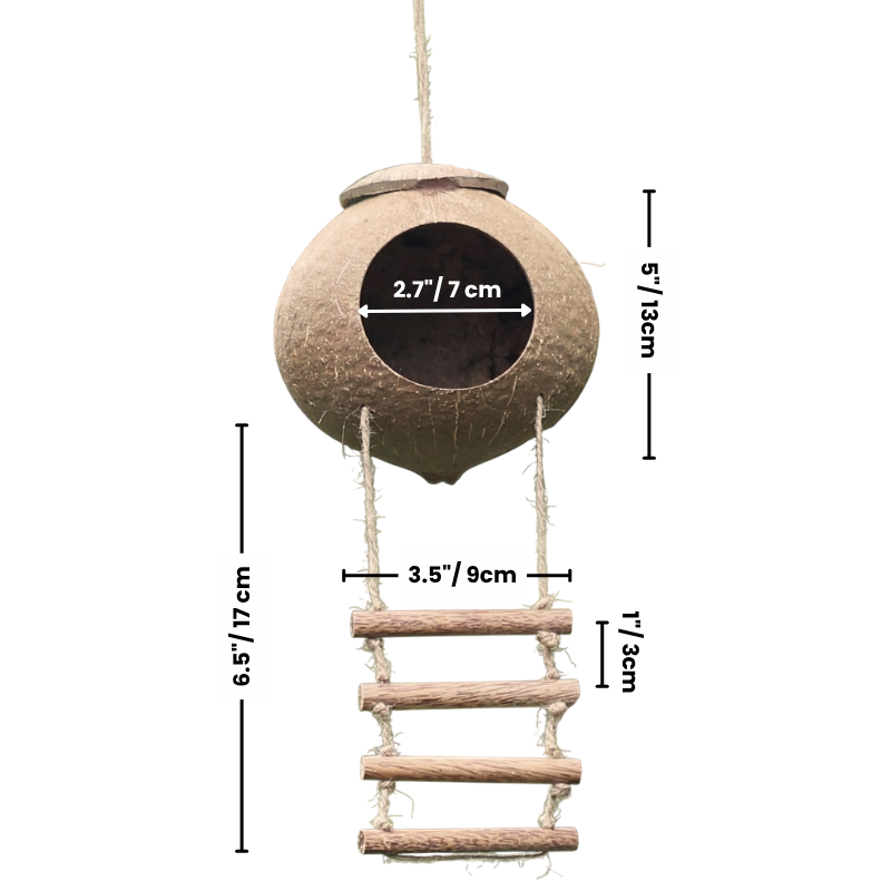 Natural Coconut Cave with Climbing Ladder 2 PCS – Reptile Hideout for Leopard & Crested Geckos – Hanging Coco Shell Hut for Snakes, Hamsters & Hermit Crabs – Terrarium Tank Decor Accessories