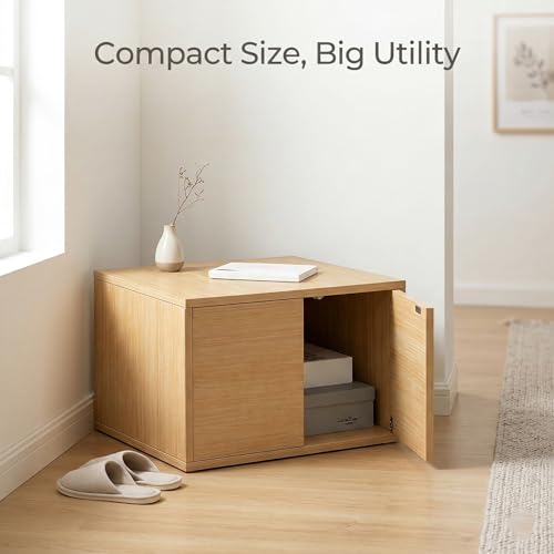 Wooden Storage Cabinet with Door, Small Storage Chest for Bedroom and Living Room, Cube Side Table with Hidden Storage, Space Saving Organizer