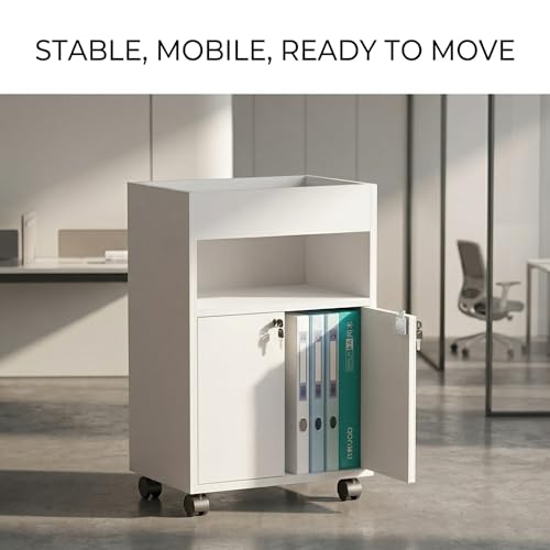 Small Rolling File Cabinet, 2-Tier Storage Cabinet with Door, Mobile Under Desk Organizer for Office, Bedroom, Narrow Space Side Cabinet, White