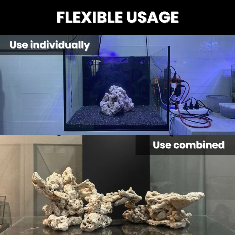 Natural Coral Stone Chunks 2pcs 5 lbs/2kg for Aquarium Decoration - Porous Reef Rock for Fish Tank Layout, Saltwater & Freshwater - Ideal for Aquariums, Terrariums, Vivariums, and Paludariums