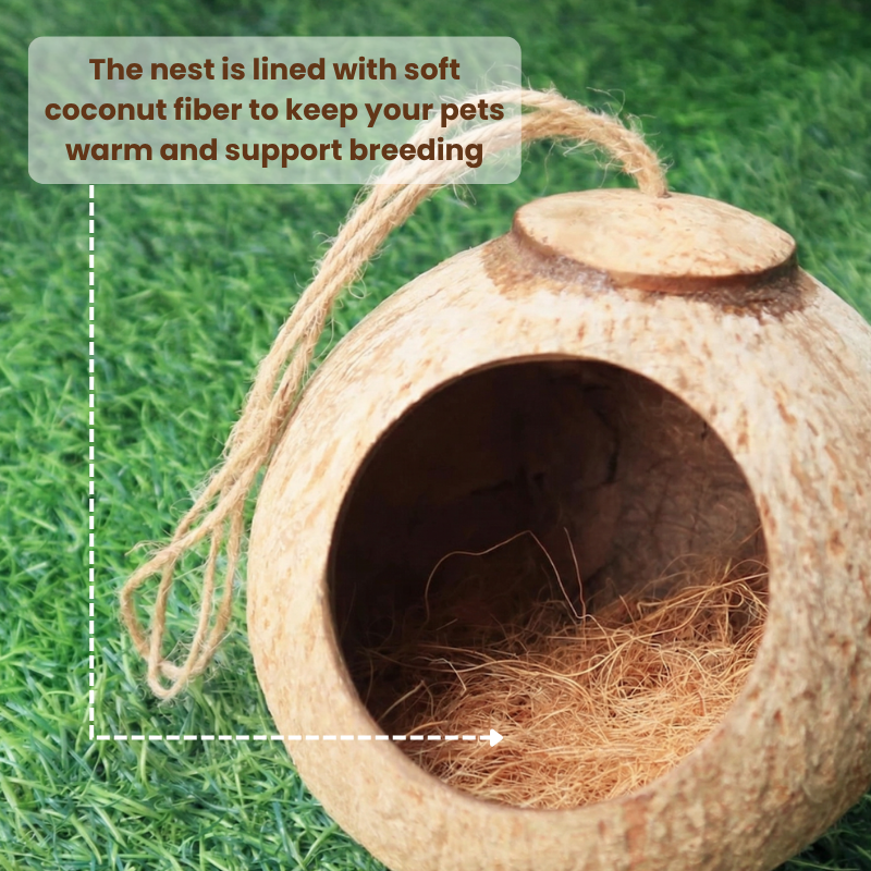 Natural Coconut Cave with Climbing Ladder 2 PCS – Reptile Hideout for Leopard & Crested Geckos – Hanging Coco Shell Hut for Snakes, Hamsters & Hermit Crabs – Terrarium Tank Decor Accessories