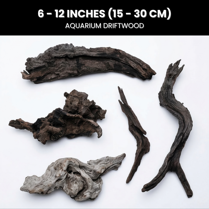 Natural Textured Sinking Driftwood 2.2 lbs/1kg - Premium Wood for Fish Tank Aquascaping, Aquariums, and Paludariums - Decorative Wood for Terrariums, Vivariums, Reptile Enclosures, and Gardens, 4in to 12in