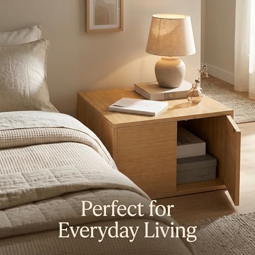 Wooden Storage Cabinet with Door, Small Storage Chest for Bedroom and Living Room, Cube Side Table with Hidden Storage, Space Saving Organizer