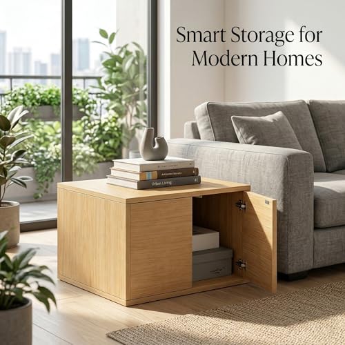 Wooden Storage Cabinet with Door, Small Storage Chest for Bedroom and Living Room, Cube Side Table with Hidden Storage, Space Saving Organizer