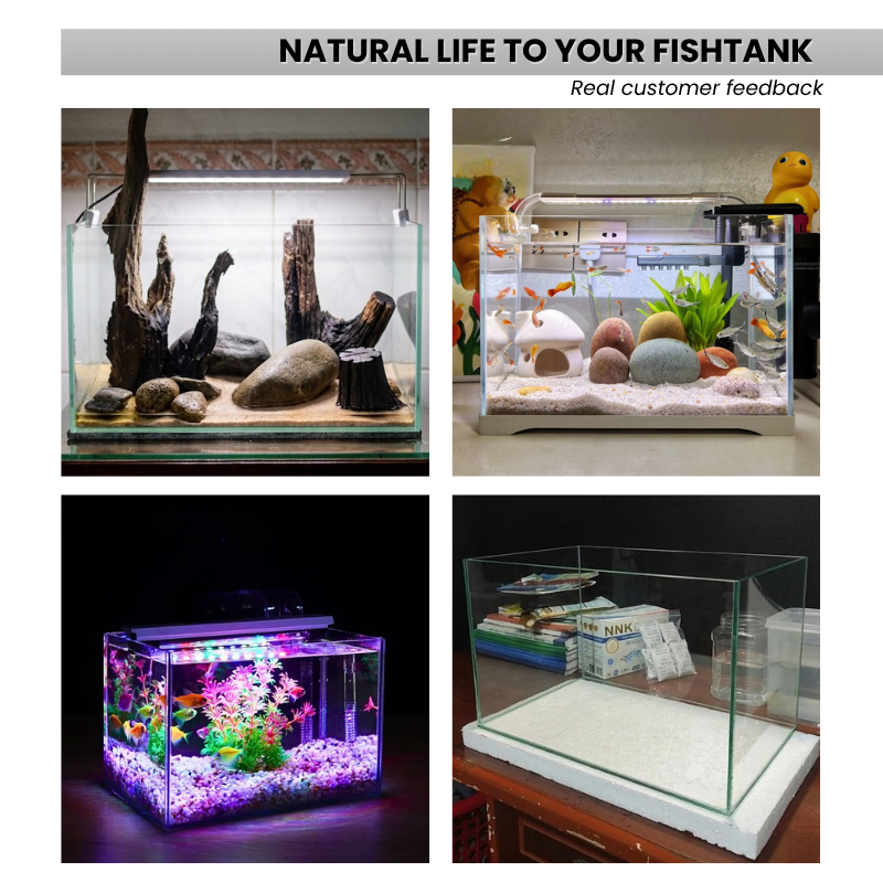 Glass Aquarium 6.5 Gallon - Rectangular Desktop Fish Tank - 5mm Thick High-Clarity Glass with Protective Bottom Mat - Ideal for Betta, Shrimp, and Small Tropical Fish