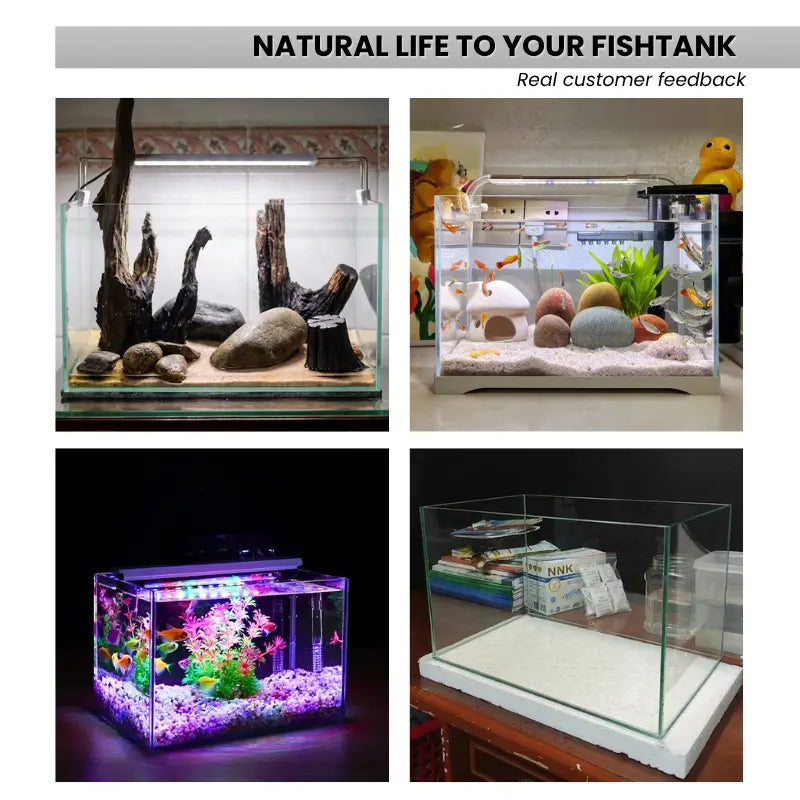 Fish Tank Rectangular Glass Aquarium 6.5 Gallon - Rectangular Desktop Fish Tank - 5mm Thick ...