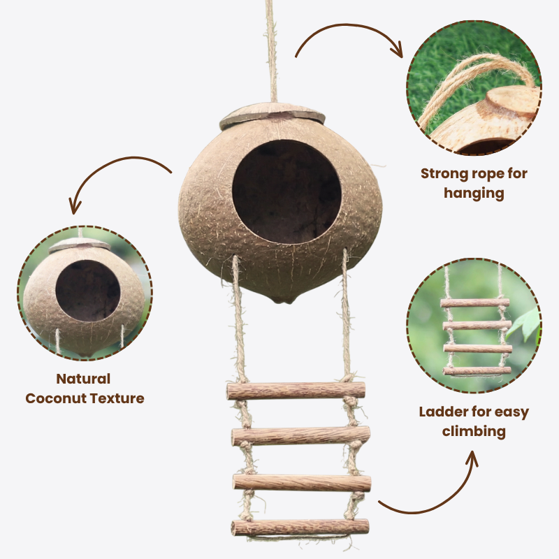 Natural Coconut Cave with Climbing Ladder 2 PCS – Reptile Hideout for Leopard & Crested Geckos – Hanging Coco Shell Hut for Snakes, Hamsters & Hermit Crabs – Terrarium Tank Decor Accessories