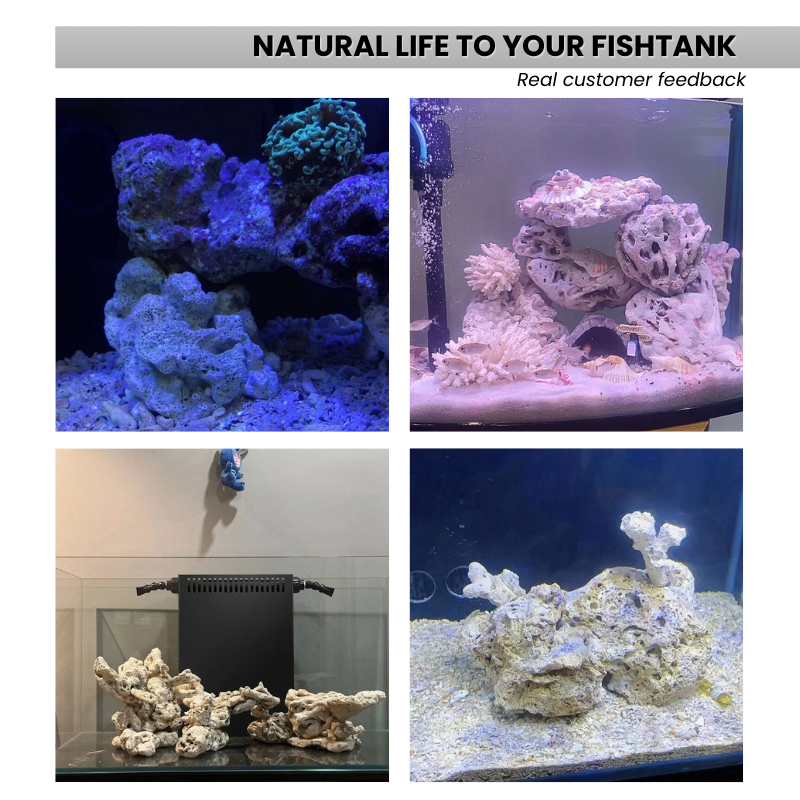 Natural Coral Stone Chunks 2pcs 5 lbs/2kg for Aquarium Decoration - Porous Reef Rock for Fish Tank Layout, Saltwater & Freshwater - Ideal for Aquariums, Terrariums, Vivariums, and Paludariums