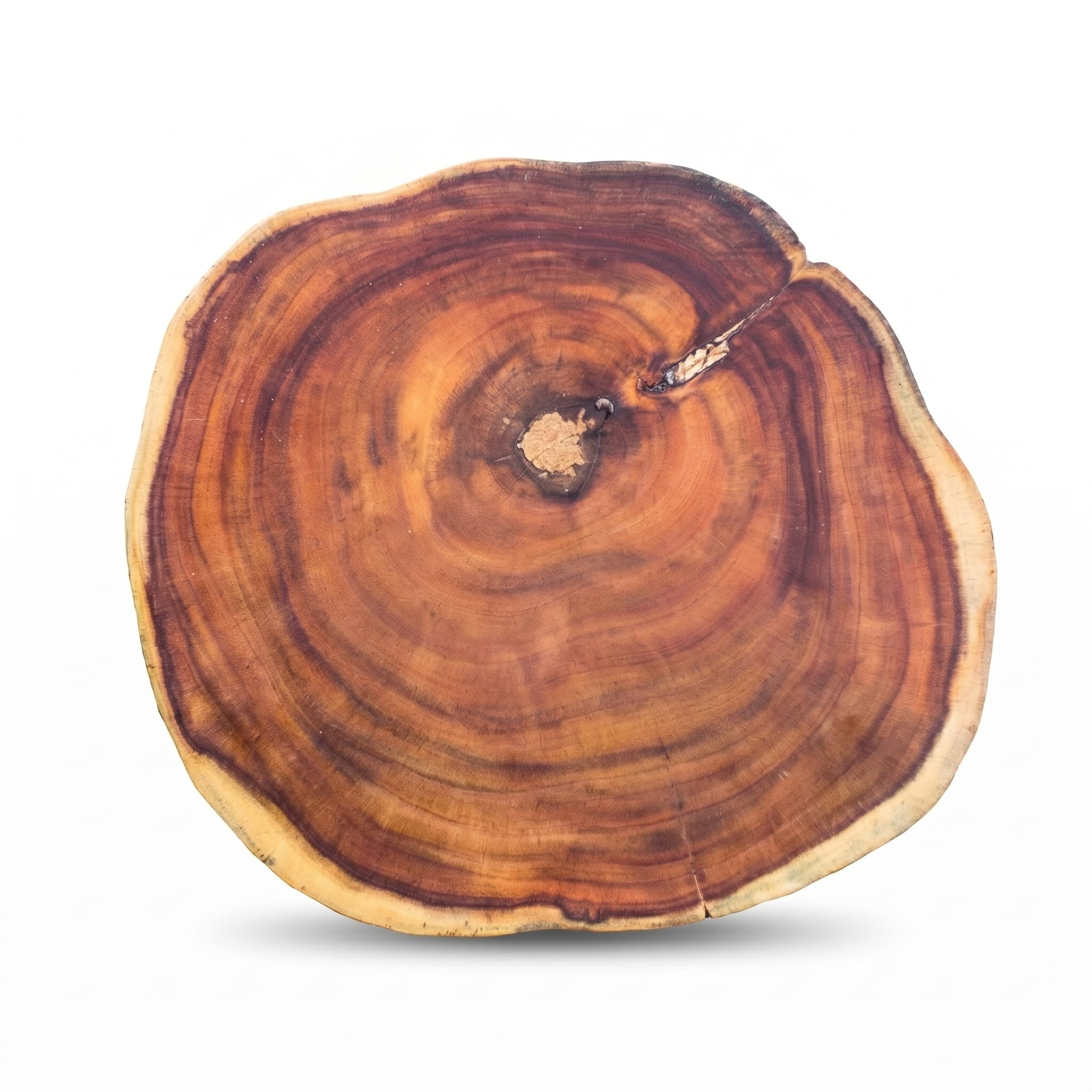 Natural Wood Round Table Top, 20 Inch Solid Tree Slice Wood Slab, 2 Inch Thick Live Edge Wooden Disc for Side Table, Coffee Table, DIY Crafts & Rustic Home Decor