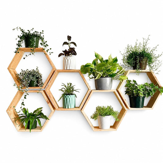 Hexagon Floating Shelves Set of 5, Wooden Honeycomb Wall Shelves for Plants, Rustic Wall Mounted Display Shelves for Bedroom, Living Room, Bathroom, Nursery & Home Decor