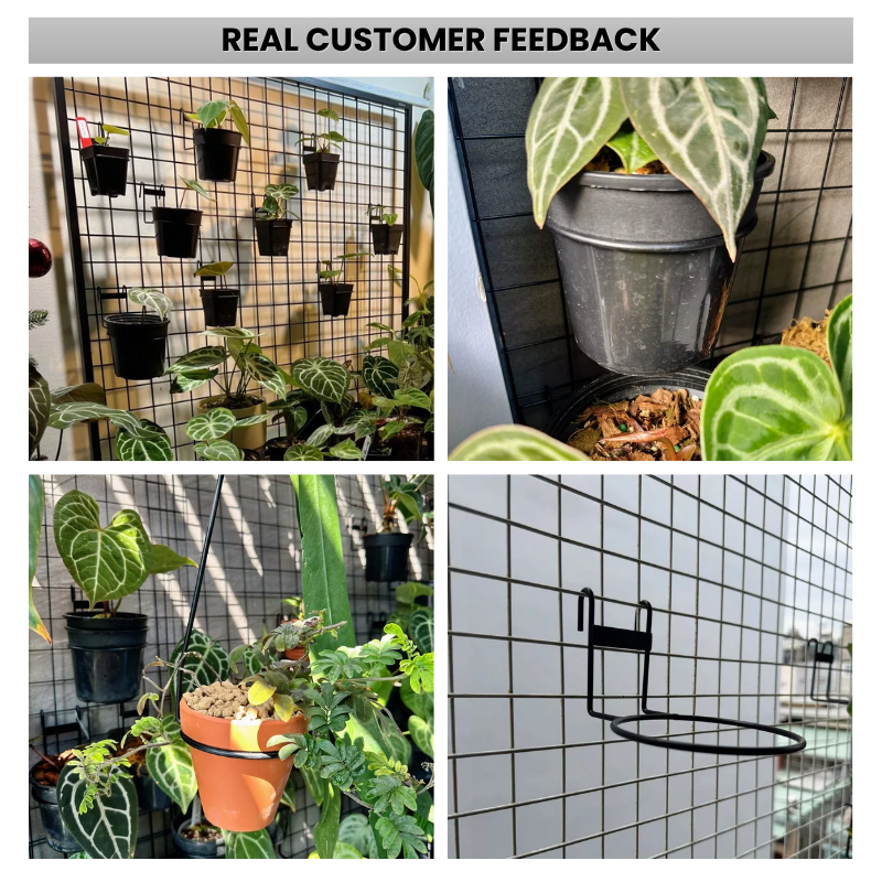 3-Pack Wall Mounted Plant Holders – Heavy-Duty Metal Flower Pot Rings for Round and Square Pots – Versatile Hanging Brackets for Indoor Outdoor Succulents, Cacti & Tropical Foliage (Pots Not Included)