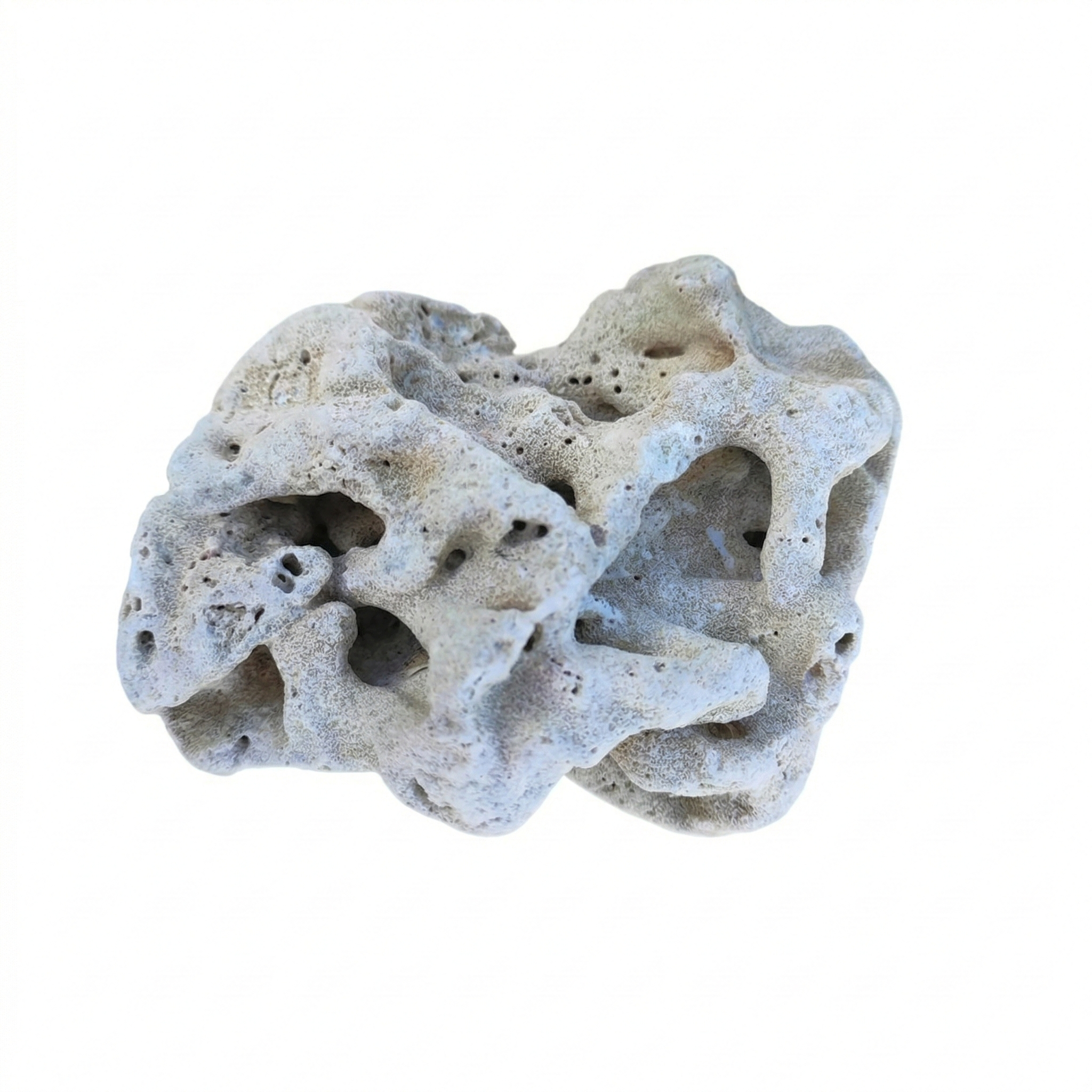 Natural Coral Stone Chunks 2.2 lbs/1kg for Aquarium Decoration - Porou ...