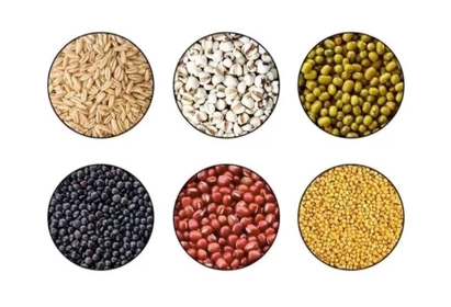 30 or 45 Units - 22lbs Rice Storage and Dispensing Container - Automatic, Clean & Simple